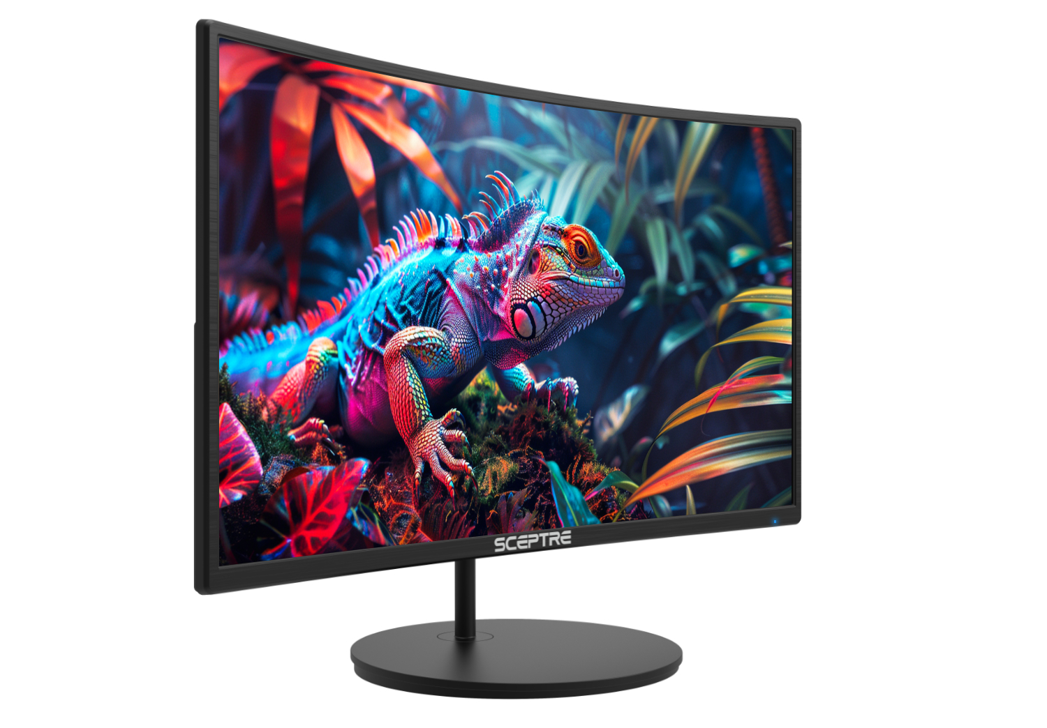 Sceptre C248W-1920RNR